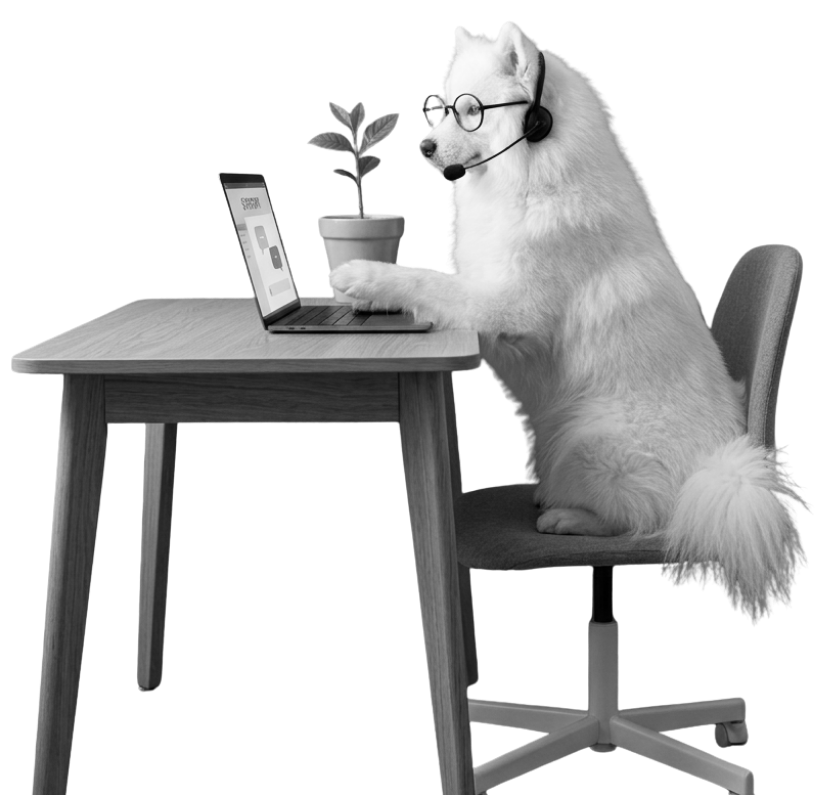 Business Website & IT Support 1 Social Media Ideas 4 e1773159563882
