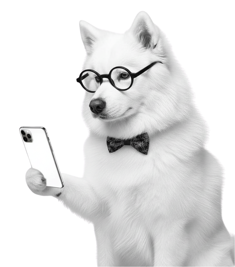 Social Media Ideas